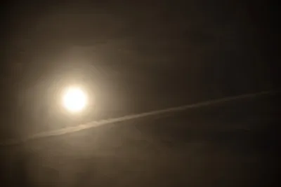 DSC_2464 (Large).JPG